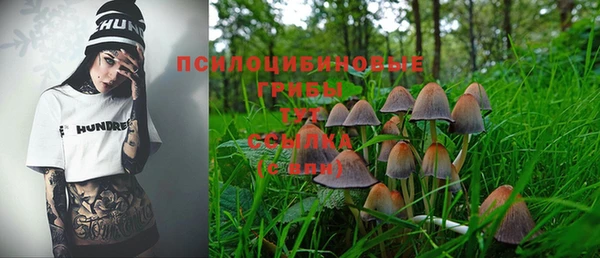 Альфа ПВП Абаза