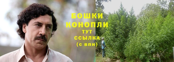 Альфа ПВП Абаза