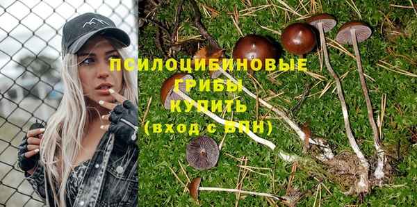 Альфа ПВП Абаза