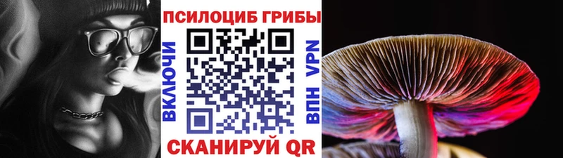 Псилоцибиновые грибы Cubensis  наркотики  Нефтеюганск 